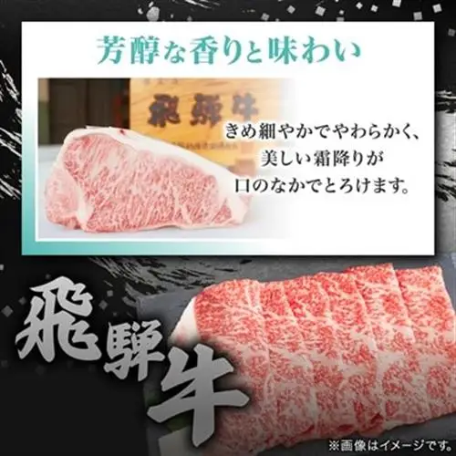 飛騨牛【白銀ロース】すき焼き・しゃぶしゃぶ用500g【配送不可地域：離島】【1681895】