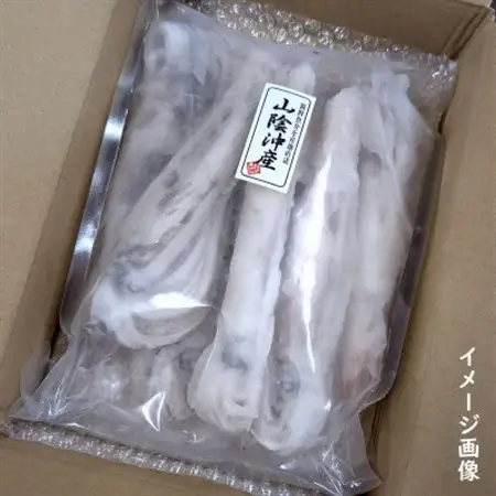 スルメイカ冷凍 1kg 小さいサイズ 訳あり 家庭用【配送不可地域：離島】【1682531】