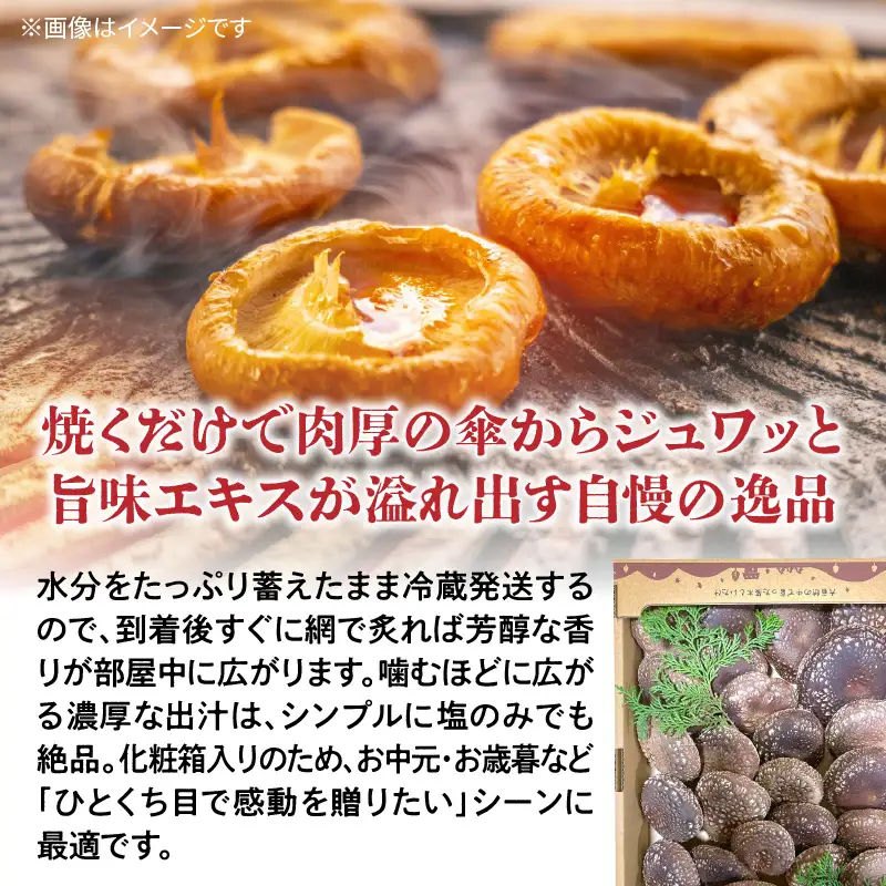 鹿児島 原木 生 しいたけ 約 500g K205-001