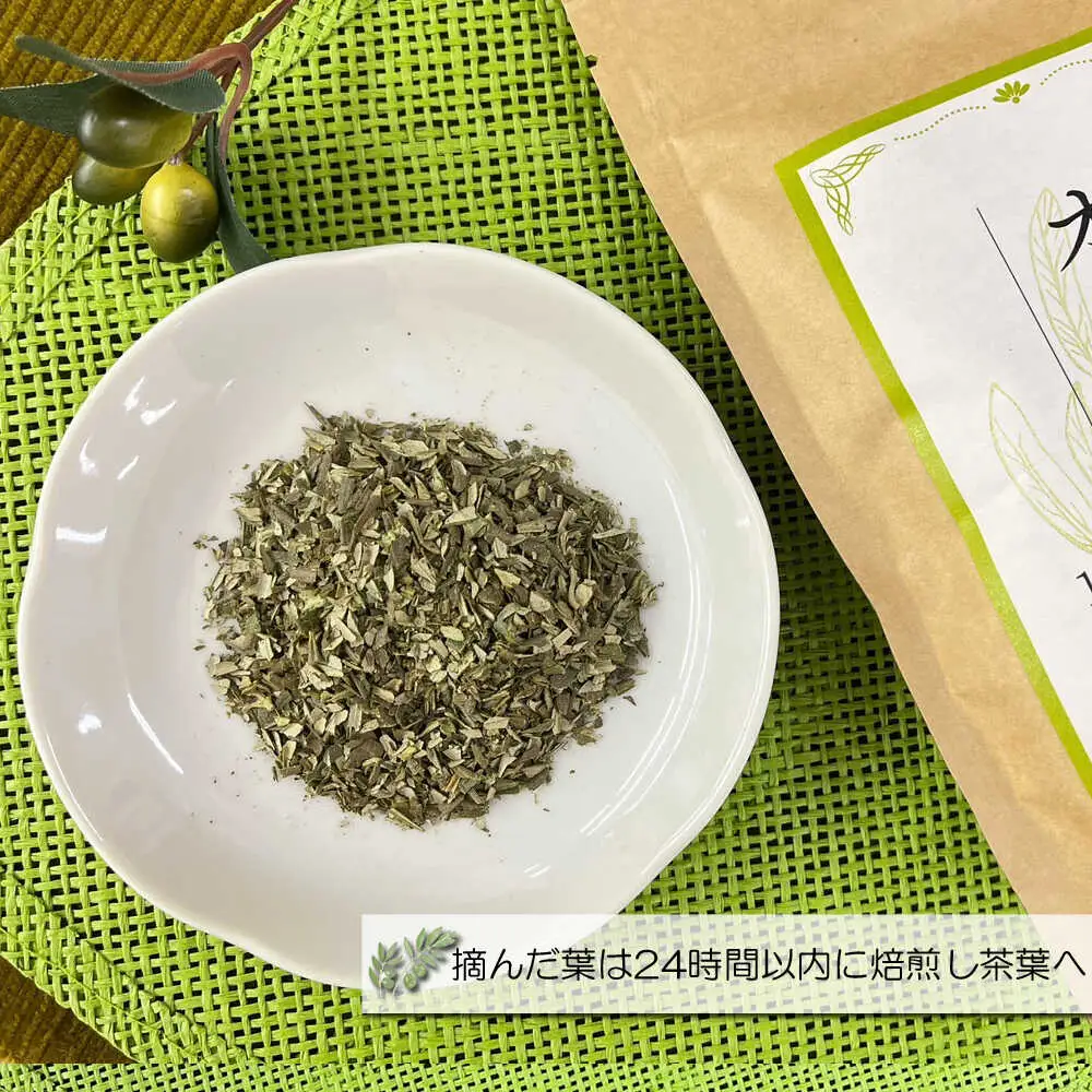 【国産 手摘み100%】南島原産 オリーブ茶 ティーバッグ×20袋（60ｇ） / お茶 茶 ティーパック / 南島原市 / ふるさと企画 [SBA095]