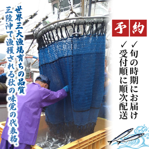 さんま 約1kg 秋刀魚 冷蔵