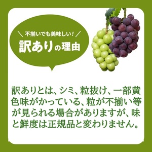 訳あり ぶどう 瀬戸ジャイアンツ 約2kg 3～5房 高梁市産 2026年 先行予約 化粧箱 葡萄 ブドウ うめづぶどう園