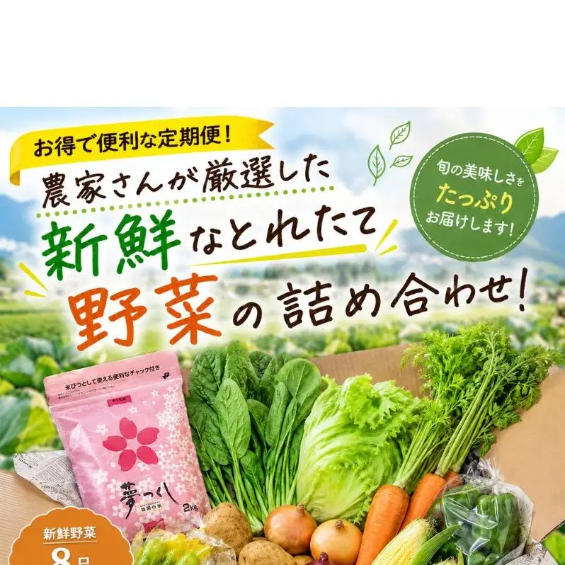 【定期便 年6回】おいしかぁ～便 詰め合わせセット 6ヶ月 お楽しみ ファミリーセット 家族用 野菜 やさい 米 新鮮 新鮮野菜 家庭用 新鮮 福岡県 大刀洗町