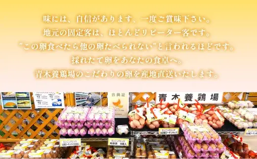 日本を代表する地鶏　名古屋コーチン卵　60個入｜ブランド卵 新鮮 阿久比町