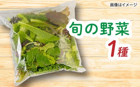 【全3回定期便】糸島産 魚 米 野菜 果物 厳選詰め合わせ MINORI BOX Sサイズ 糸島市 / emma.Inc / 米 魚 野菜 詰め合わせ[AOP020]