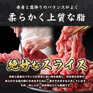 博多和牛切り落とし1kg（500g×2パック） 【CF22】