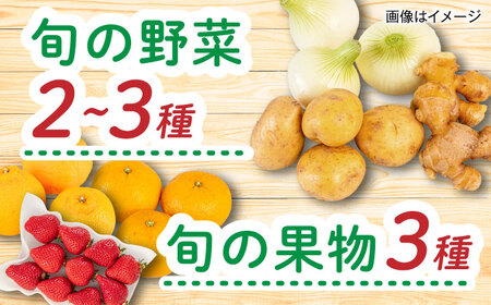 【全12回定期便】糸島産 魚 米 野菜 果物 厳選詰め合わせ MINORI BOX Lサイズ 糸島市 / emma.Inc / 米 魚 野菜 果物 詰め合わせ[AOP030]