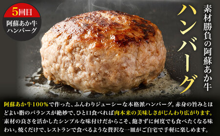 【6ヶ月定期便】阿蘇あか牛満喫セット 株式会社LARKS《お申し込み月の翌月から出荷開始》肉 牛肉 あか牛 ローストビーフ ハンバーグ 冷凍 名物 熊本県 毎月届く 送料無料