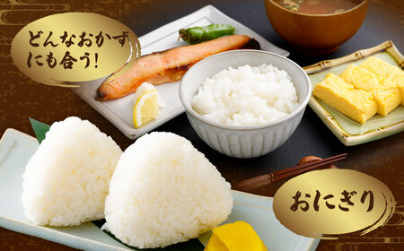 【令和7年産米】新潟県村上市岩船産コシヒカリ10kg（5kg×2袋）　1102002