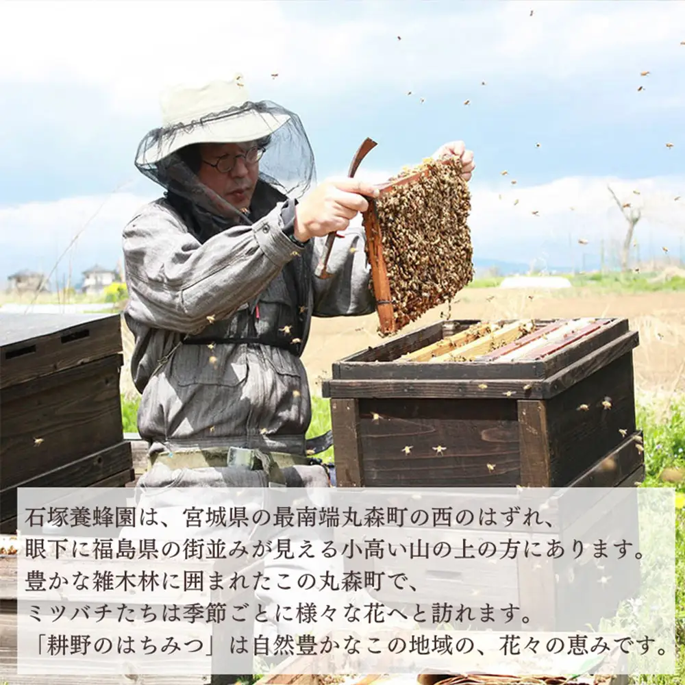耕野のはちみつ　apis Honey Stick 　7g×6本【21114】