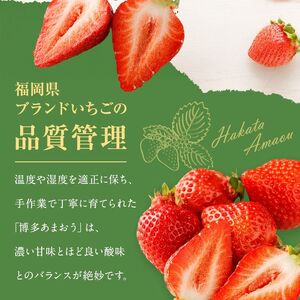 【先行予約】【アフター保証】4月発送！JAよりお届け！「博多あまおう」約250g×2パック【ほたるの里】_HA1938 ふるさと 納税 果物 フルーツ 甘い イチゴ 苺 あまおう デザート 旬 手土産 プレゼント いちご 博多あまおう 福岡
