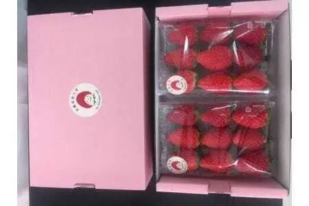 《2027年産先行予約》「西脇市産 佐藤果実工房 あまクイーン」（約270g×２パック 約540g）【佐藤果実工房 全国いちご選手権3年連続上位入賞農園 TVで紹介!】令和９年２月中旬配送分　sato-A-2-2-mid