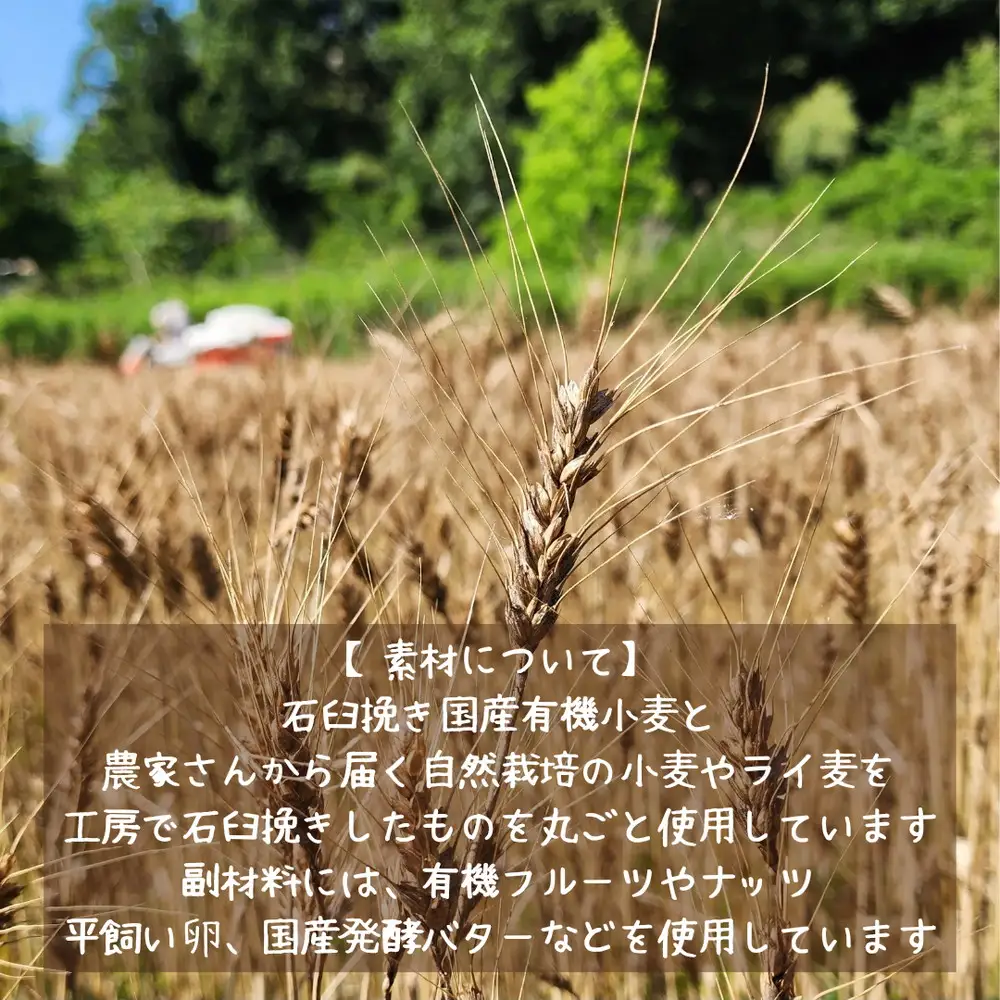 【国産有機小麦と自然栽培小麦・ライ麦使用】素材を味わうパンセット ／ パン 国産小麦 自然栽培 小麦 ライ麦 天然酵母 ルヴァン種 国産素材 自家製粉 自家製ルヴァン種 パンセット 詰め合わせ 食べ比べ お取り寄せグルメ 大阪府 No.348
