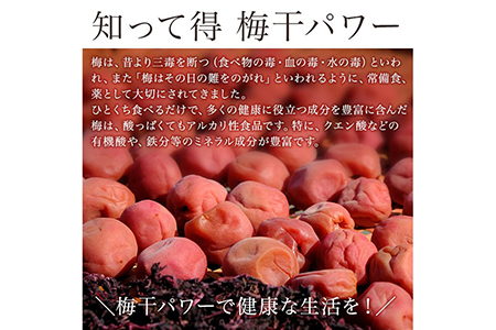 《紀州南高梅》はちみつ梅干し つぶれ梅（ご家庭用 訳あり）500g◇ 