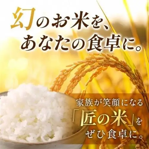 【毎月定期便】岐阜県産ハツシモ(無洗米) 10kg全12回【配送不可地域：離島】【4076358】