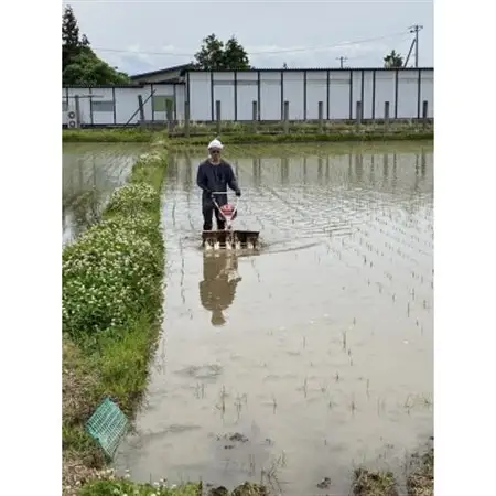 先行予約【令和8年産】栽培期間中農薬不使用米 つや姫精米 10kg【1683658】