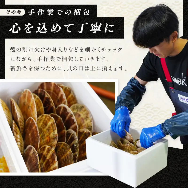 【予約：2026年10月下旬から順次発送】北海道漁師直送 最高鮮度3D冷凍ホタテ「しばれホタテ」 化粧箱入り 250g×2箱 ( 海鮮 魚介 魚介類 貝 ほたて 刺身 貝柱 海鮮丼 贈答 ギフト )【197-0009】