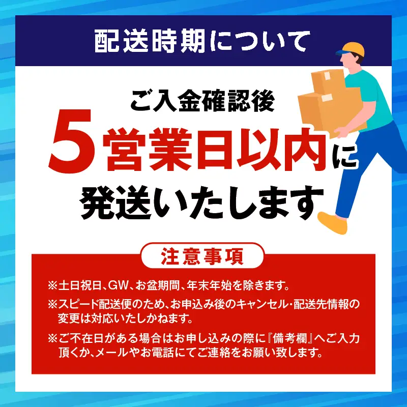 【 5営業日以内に発送 】日本茶 専門店【 貴茶 － TAKACHA 】煎茶［皇］ リーフ 2袋 K068-026_02 スピード配送 最短 すぐ届く お急ぎ