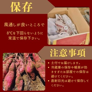 さつまいも 5kg サツマイモ 芋《訳あり》