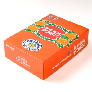 【期間限定】≪2027年4月お届け≫蒲郡樹熟デコポン 約３ｋｇ_【G0004】