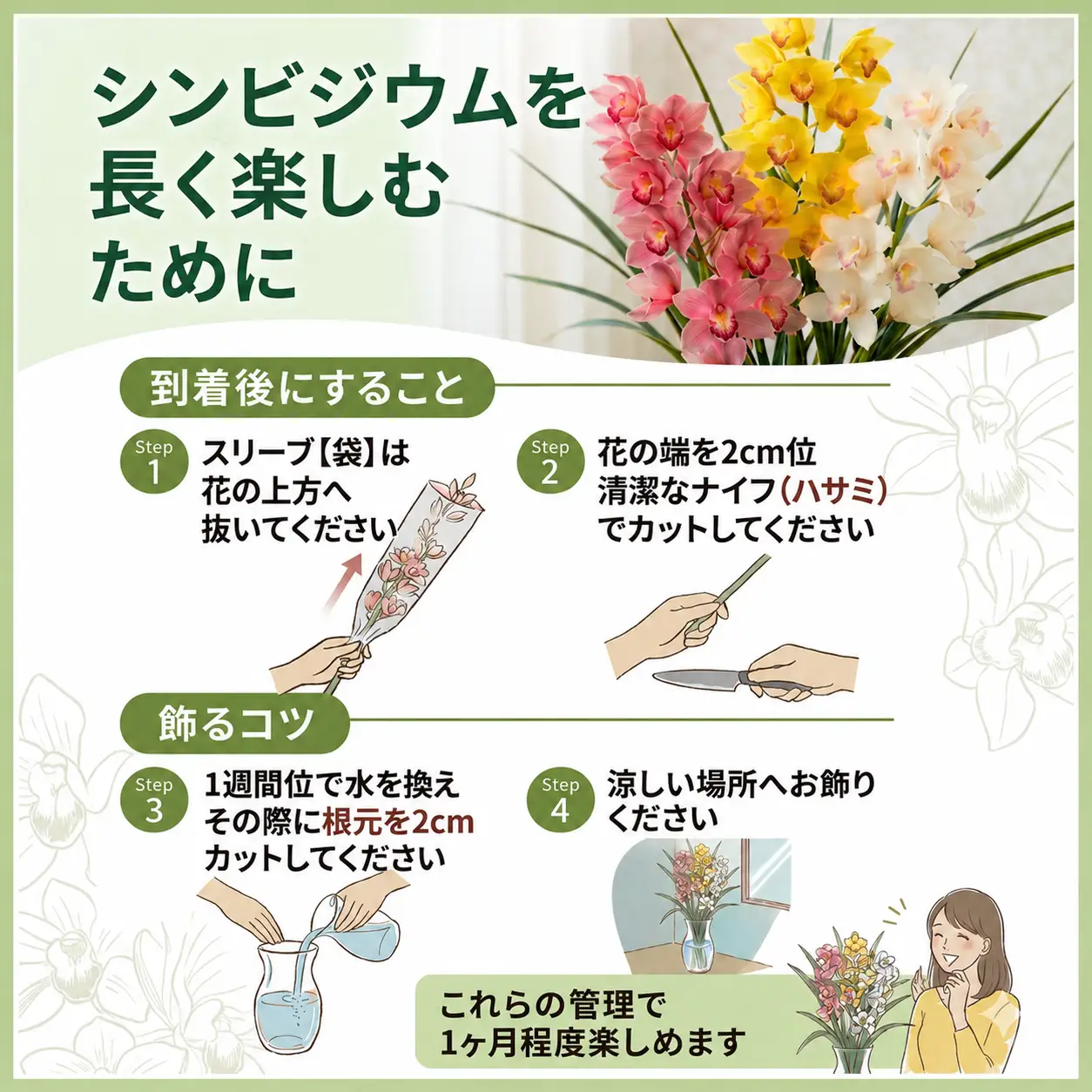 【2026年11月順次発送】 洋蘭 シンビジウム 8～10本 生花 お花 花 シンビジューム 秀品 徳島県 小松島市