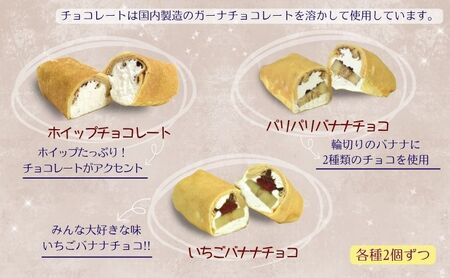 冷凍クレープ10個詰合せ　お菓子 スイーツ デザート  おやつ 甘い 手作り クレープ 新潟県 十日町市