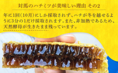 【全12回定期便】 対馬 和蜂 はちみつ 300g×1本 《対馬市》【特定非営利活動法人 對馬次世代協議会（対馬コノソレ）】 蜂蜜 ハチミツ 日本ミツバチ ニホンミツバチ[WAM048]
