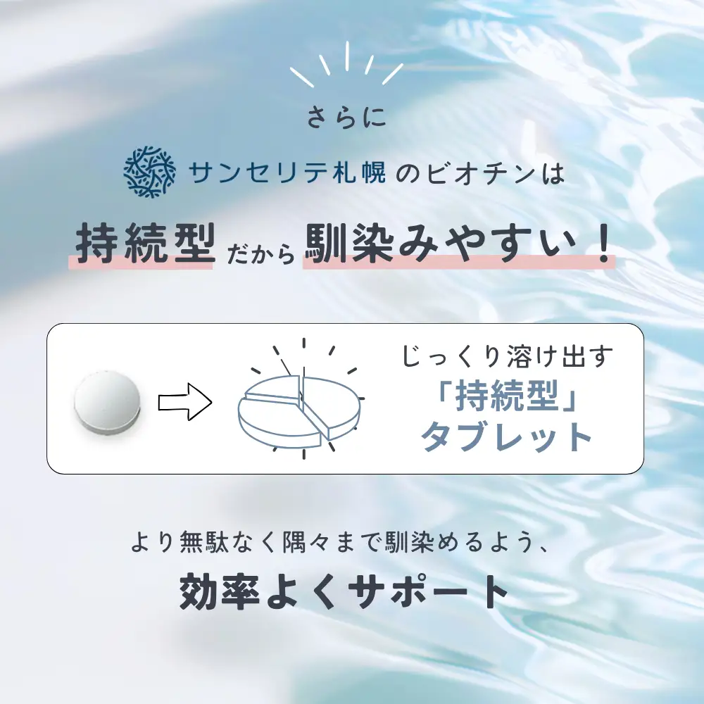 ビオチン（持続型） | サプリメント 健康 北海道 札幌市