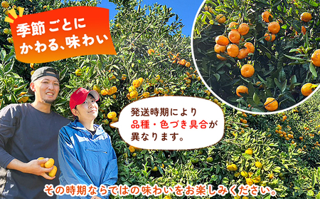 ＜温州みかん（明浜みかん） 家庭用 約5kg＞ 温州 うんしゅう みかん 蜜柑 旬 果物 フルーツ 柑橘 明浜 低農薬 ご家庭用 国産 愛媛県産 送料無料 特産品 井上農園 愛媛県 西予市【常温】『2025年11月～12月中旬迄に順次出荷』AIK0002