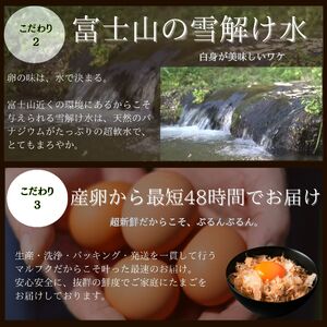 富士の名月　卵かけごはん セット (a11-164)