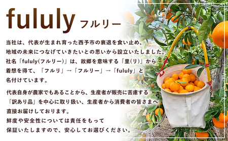 ＜fululy直送 温州みかん 訳あり 約5kg 小玉サイズ（3S～S）＞ ワケアリ サイズ混合 小玉 果物 フルーツ 蜜柑 うんしゅうみかん ウンシュウミカン 柑橘 家庭用 合同会社fululy 直送 愛媛県 西予市【常温】『2025年11月上旬～2026年2月上旬迄に順次出荷』 AGF0002
