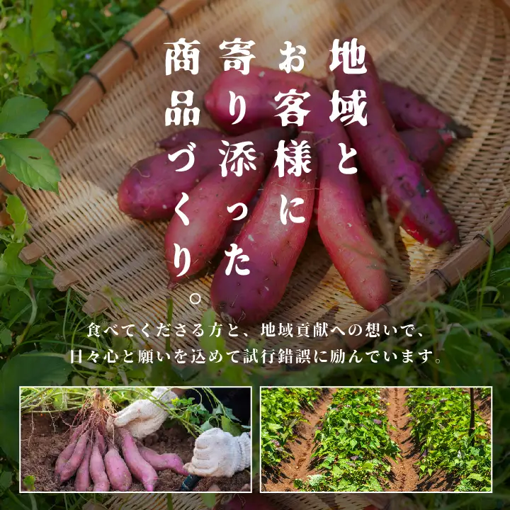 さつまいも 紅はるか 10kg ｜さつまいも【株式会社橋本】