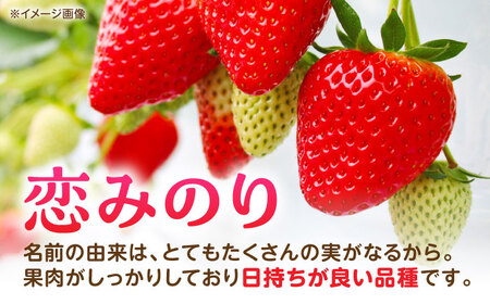 【2回定期便】 【先行予約】いちご 恋みのり 百花園ファーム 約1.4kg（約350g×4P）20粒/P Lサイズ 【亀井通産 株式会社】[AYBQ083]