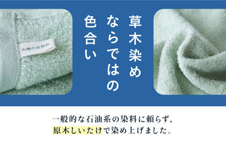 原木しいたけ染め ベージュ タオル 2サイズ（フェイスタオル・タオルハンカチ各1枚） 愛媛県大洲市/一般社団法人キタ・マネジメント（おおず赤煉瓦館） 草木染め サステナブル SDGs[AGCO131]