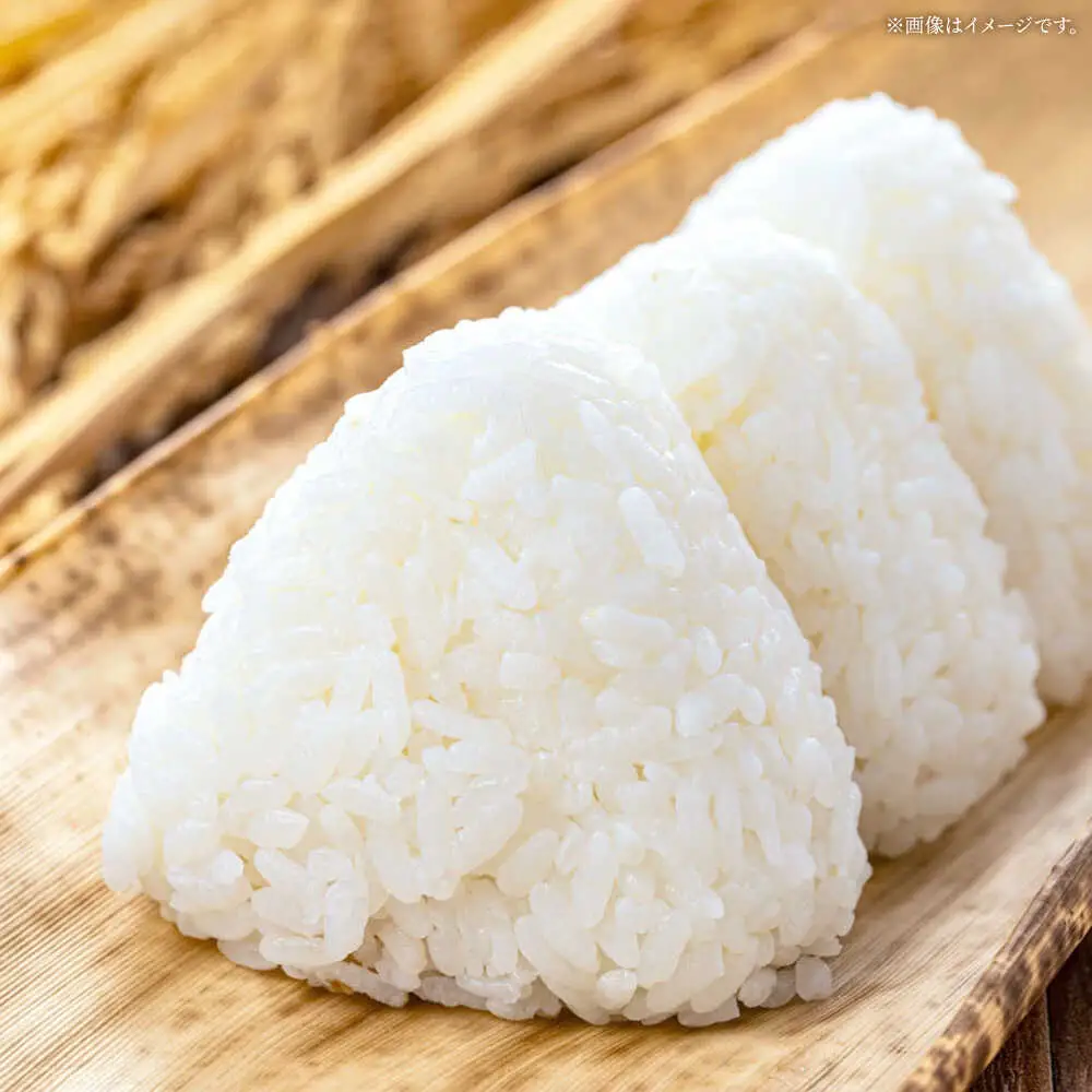 令和7年産 コシヒカリ 5kg 白川町 / 白川町農業開発[AWAH030]コシヒカリ