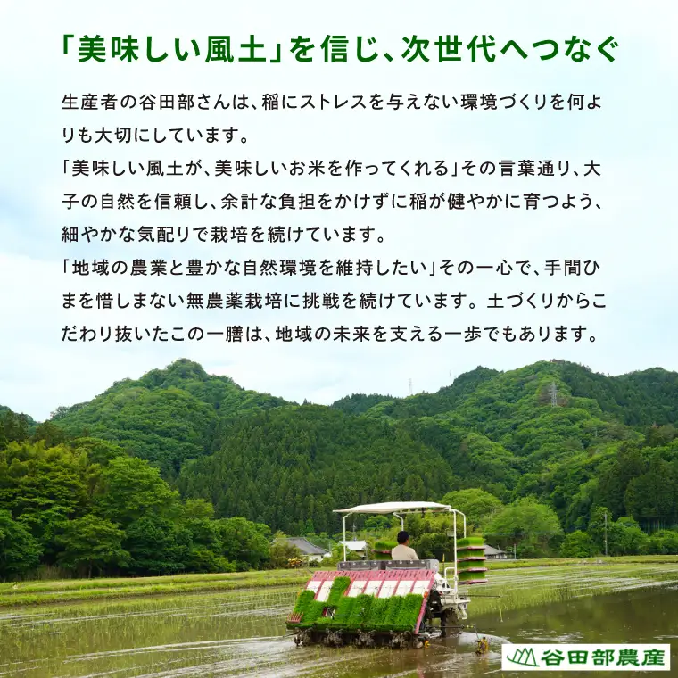【3ヶ月定期便】【金賞農家が栽培した家庭用米】立神米 ゆうだい21（白米）5kg×3回【谷田部農産】令和8年産｜茨城県 大子町 米 コンテスト 受賞 生産者 大子産米 産地直送 令和8年産（BT075）