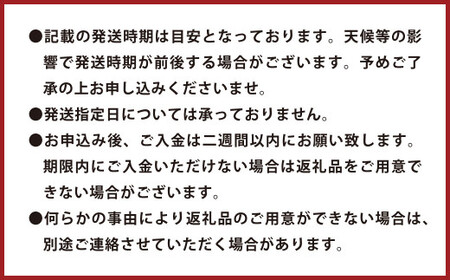 環境マイスターのパール柑 良品・訳あり混合 4kg （栽培期間中は無肥料・農薬不使用）【2027年2月上旬-4月上旬迄順次発送予定】
