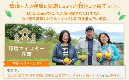 環境マイスターのスイートスプリング 良品・訳あり混合 4kg （栽培期間中は無肥料・農薬不使用） 環境マイスター 水俣市産 【2026年11月下旬-2027年1月下旬迄順次発送予定】