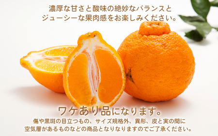 【訳あり】環境マイスターの不知火 10kg （栽培期間中は無肥料・低農薬） 果物 くだもの フルーツ 不知火 しらぬい 柑橘 みかん 【2027年2月上旬-5月上旬迄順次発送予定】
