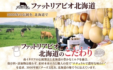 モッツァレラ 100g×2｜チーズ モッツァレラチーズ 北海道 札幌市