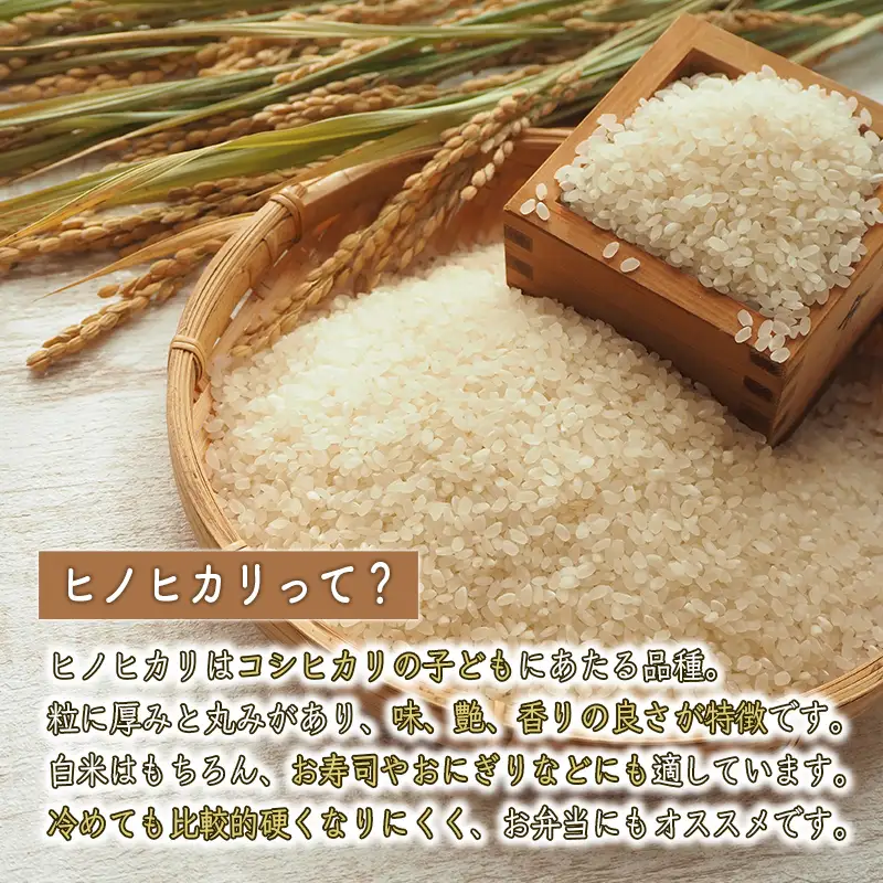 【精米】 【新米予約】令和8年産 ヒノヒカリ 八千種米 お米 5kg ごはん 兵庫県産 世界かんがい施設遺産登録『西光寺野疏水路』