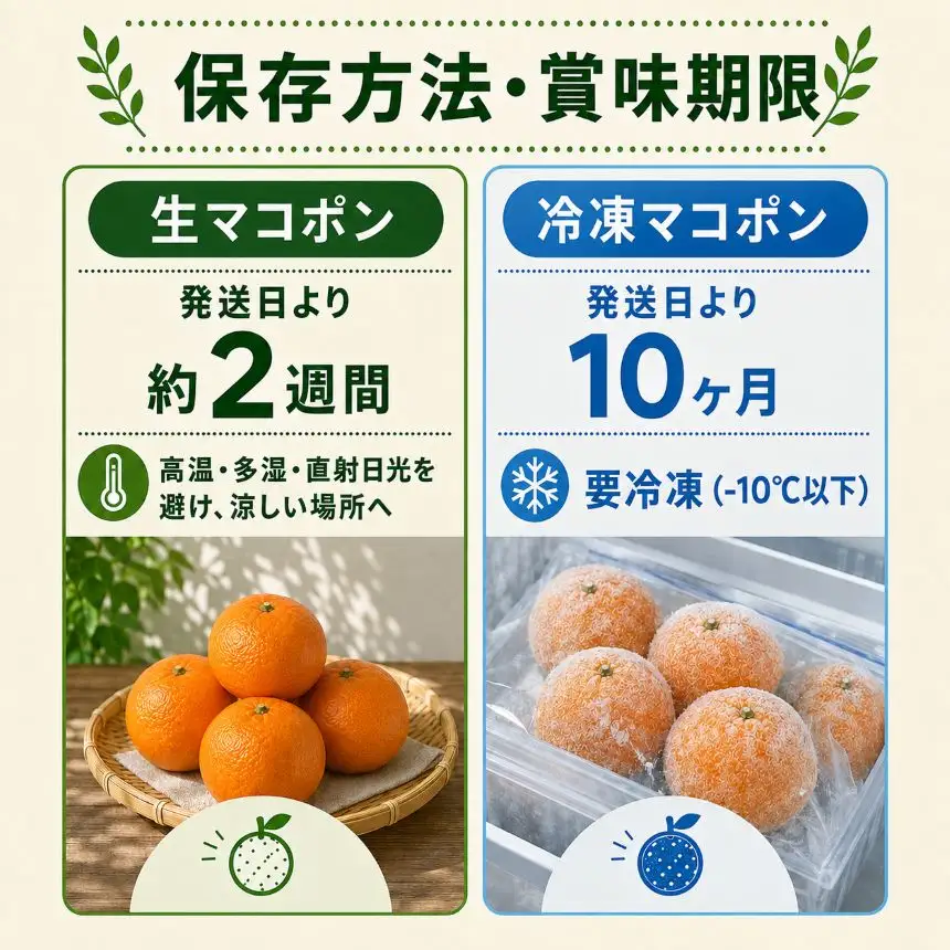 【先行予約】紅モンスター マコポン5玉 | フルーツ 果物 くだもの 果実 柑橘 柑橘類 まこぽん マコポン オレンジ ゼリーオレンジ 不知火 国産 中津市産 産地直送 大分県 中津市
