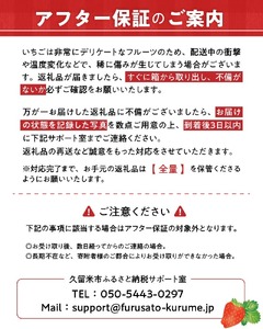 【2027年2月から順次発送】苺（あまおう）270g×2パック×2箱 _ いちご あまおう フルーツ〔Fi076〕