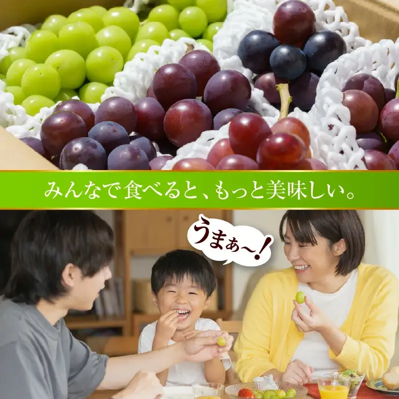ぶどう 種なし ピオーネ 1kg フルーツ 果物 山形 天童 ブドウ