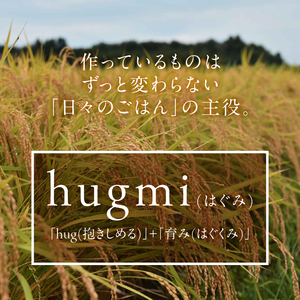 特別栽培米 hugmiのお米 奥州江刺産 ひとめぼれ 約9kg (約4.5kg×2袋)  白米 [BJ008]