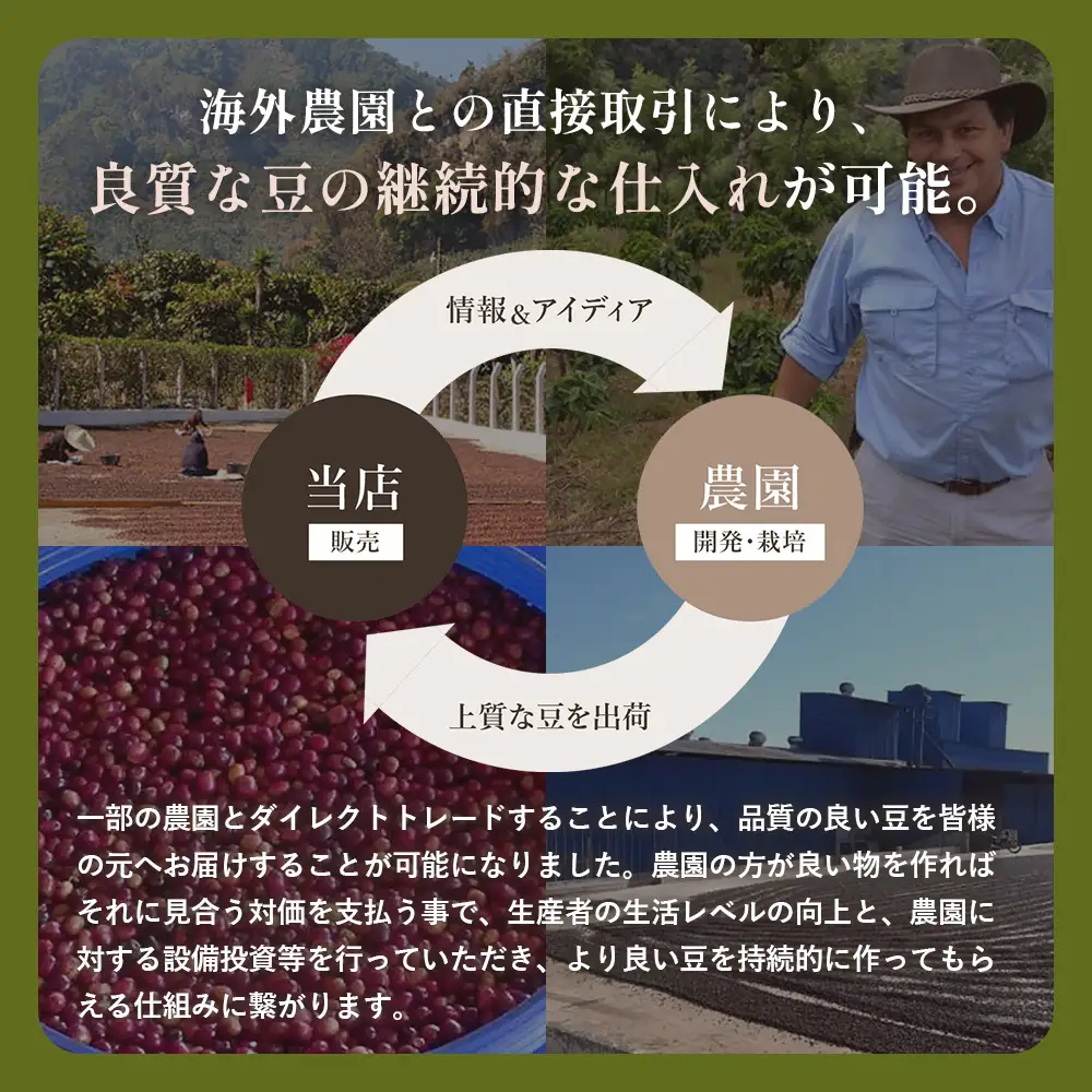【3ヶ月定期便】コーヒー豆　200g×2種類（毎月1回発送） ／ 珈琲 特別 山口県 No.148