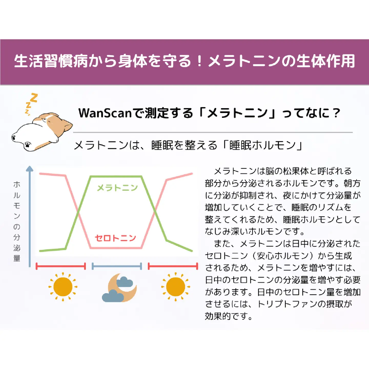 Wan Scan 愛犬用健康検査キット[EV003] / 愛犬 検査 生活習慣 健康検査キット メラトニン ストレス 肥満 リスク 送料無料