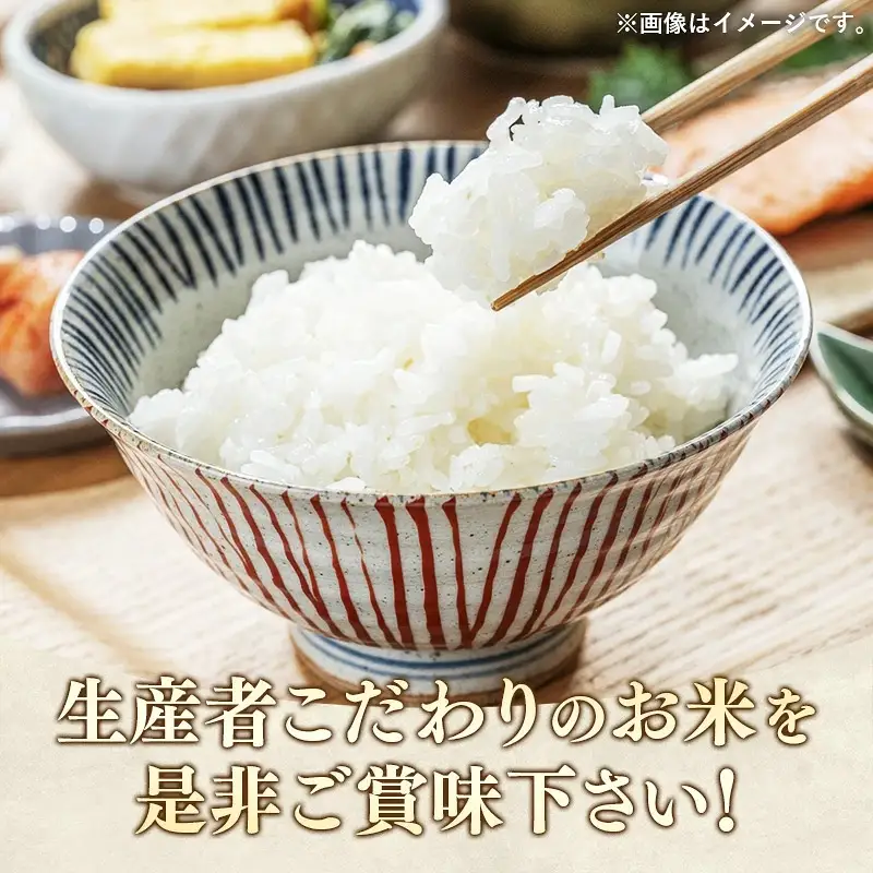 【令和7年産】無農薬・無化学肥料栽培 埼玉県幸手市産特別栽培コシヒカリ 「幸ヒカリ」精米10kg -  米 特別栽培米 幸手市産