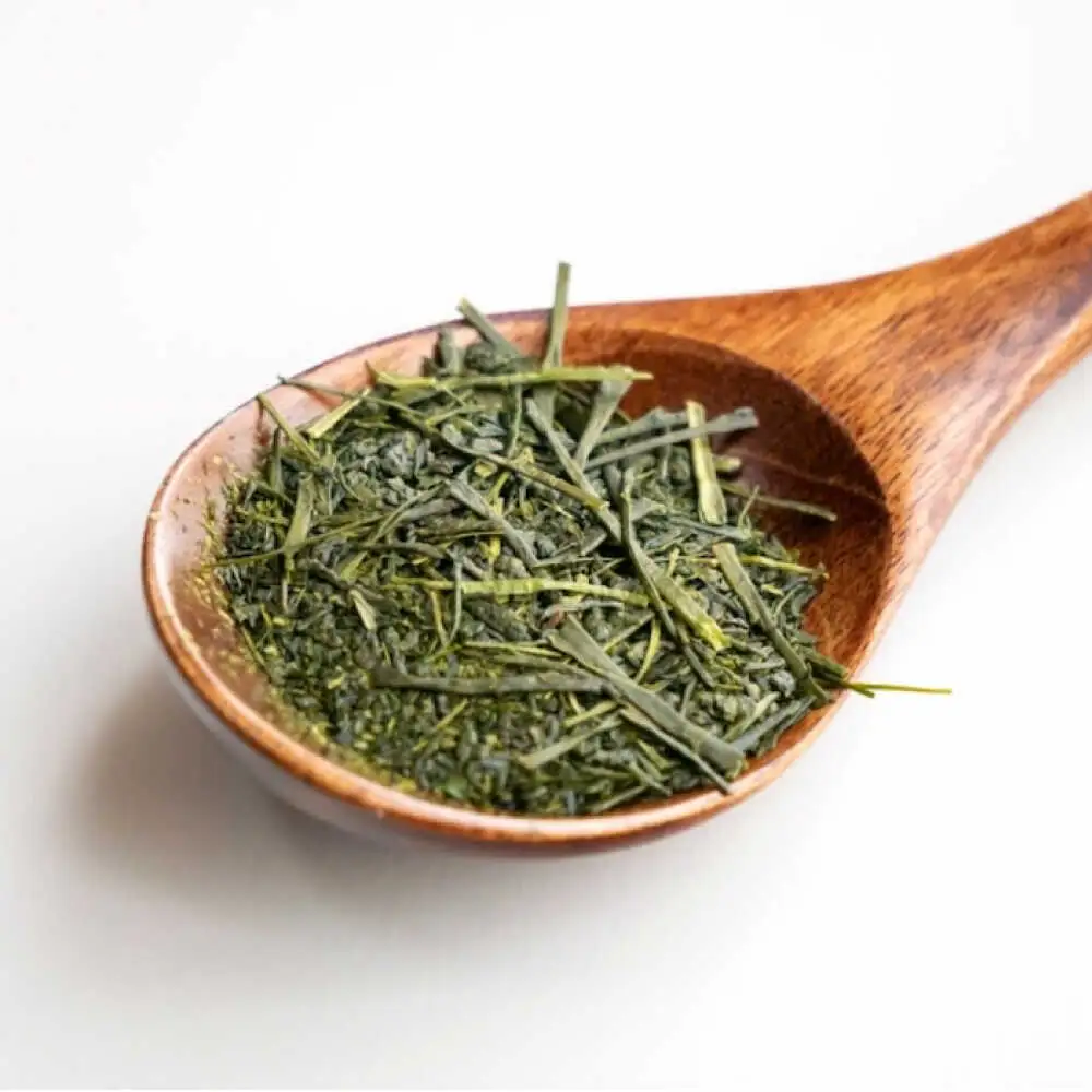 八女茶 煎茶セット 100g×2袋 [VEH016]