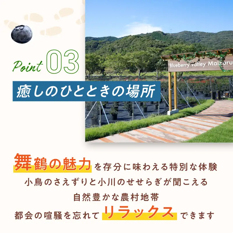 【6月～8月】 ブルーベリー狩り ペアチケット 【時間無制限・食べ放題】